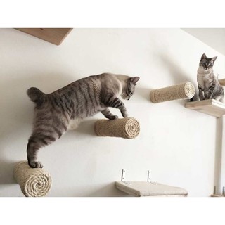 Arranhador Brinquedo de Parede para seu gato escalar 30cm (3)