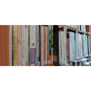 Livros avulsos ou sortidos do Salim - Livros por R$ 2,99 (1)