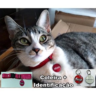 Coleira + Identificação Pet Nome + Fone Cachorro Gato (1)