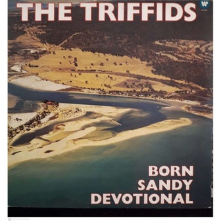 Lp The Triffids - Born Sandy Devotional - USADO