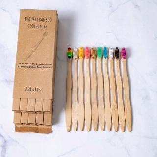 Escova De Dentes De Bambu Ecológico + Caixa