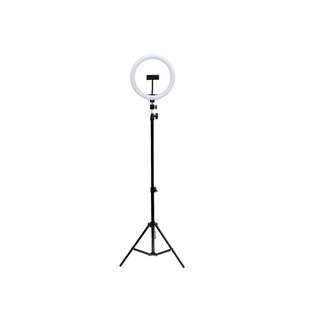 Ring Light Led celular selfie Iluminador 26cm 10 Polegadas Completo Tripé 210cm