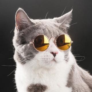 Mini Óculos De Sol De Sol Redondos De Gato / Filhote De Cachorro De Estimação De Metal Anti-Uv (5)