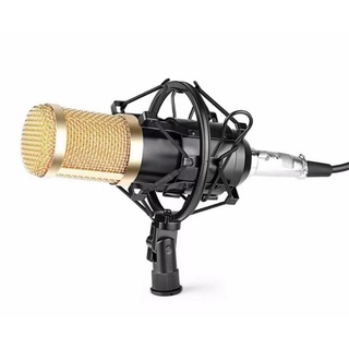 Microfone Estudio Profissional Condensador Andowl Bm-800 T41 (1)