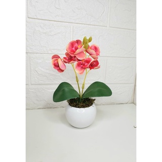 Arranjo de MINI Orquídea Artificial Com Vaso e Plantinha \ Para Decoração de Ambientes\Casa Escritório (5)