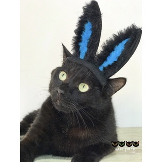 Orelha/Orelhinha de coelho pet (Para Gatos e Cães) Páscoa. cor:preto c/azul (2)