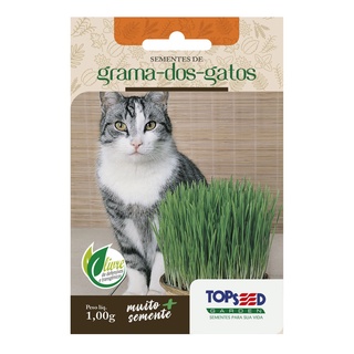 Grama dos Gatos 900 sementes - TOPSEED (1)