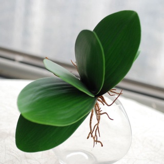 Folhas de Orquídea artificial complemento para arranjos e decoração para compor vasos, arranjos e decorar a sua casa, banheiro
