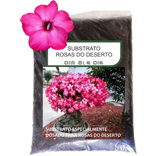 Substrato Completo Para Rosa Do Deserto (3)