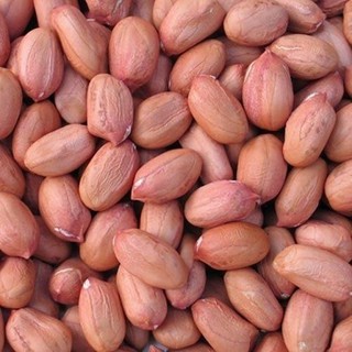 Amendoim Cru in natura com Pele 1 kg selecionado (4)