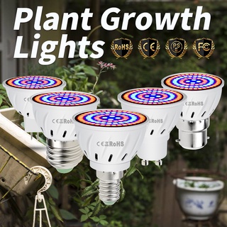 LED Lamp Full Spectrum E27 Grow Indoor E14 Lâmpadas De Cultivo De Plantas MR16 Blaze Grow Light GU10