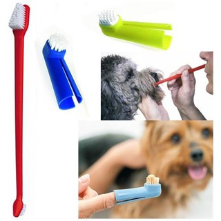 Kit Escova Dental e Dedeira Pet para cachorro e cato