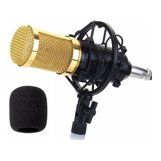 Kit Microfone Condensador Braço Articulado Estúdio Pop Filter P2 T10 Lelong LE-914