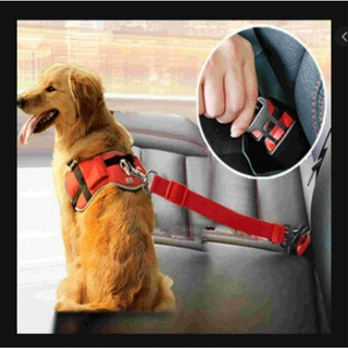 Coleira Segurança Pet Cachorro Passeio De Carro Seguro (1)