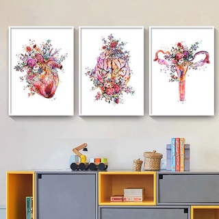 Quadro decorativo 3 peças 30x40 medicina médico coração pulmão anatomia corpo humano cérebro vintage clínica médica moderno para consultório