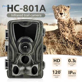 IN STOCK HC801A Hunting Camera 16MP Trail Camera IP65 Photo Traps 0.3s Trigger Time 940nm Wild Camera 1080P waterproof Camera pangea_br