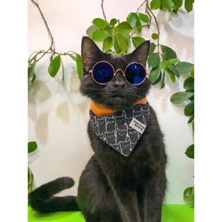 Óculos Pet (Para Gatos e Cães). Óculos Redondo, Estilo Vintage. (2)