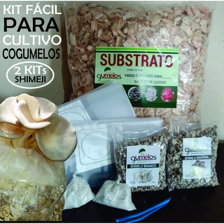Cultivar Cogumelo Shimeji Em Casa 2 Kit's