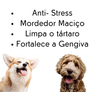 Brinquedo Pet Mordedor Anti-Stress Osso com Cravo Maciço para Cachorro (2)