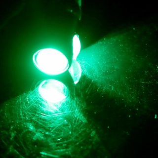 Eagle Eye LED Turn Signal Lamp Luzes Decorativas Luz Da Placa De Licença Motocicleta Universal Sinais De Volta Lanterna Traseira 1 Par (2)