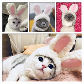 Pet Supplies Mini Rabbit Ears Pet Hat Lovely Style Cross-dressing Cap for Pet Cute Accessories