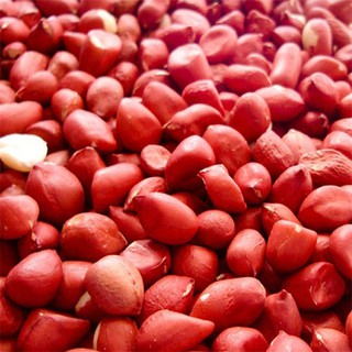 Amendoim Vermelho Crú C/ Pele - 1 kg