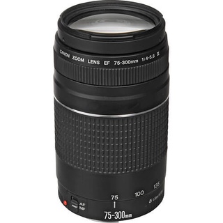 Lente Canon EF 75-300mm f/4-5.6 III (2)