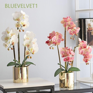 Bluevelvet1 Real Toque Fontes Do Casamento Decoração De Festa Casa Diy Elegante Borboleta Orquídea Flores Artificiais (1)