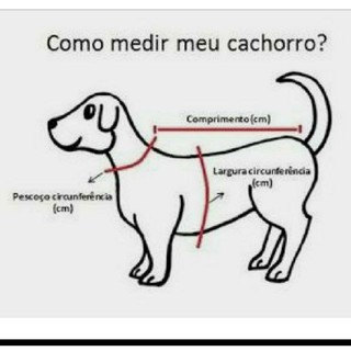 Roupas Para Cachorro Macho Gato Camisa Social Fantasia De Gato Dog Pet (3)