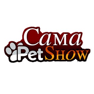 Coleira Guia Peitoral Para Cachorro Gato -Luxo -Passeio metros Pets Cães Pequeno e médio Porte - CamaPetShow (8)