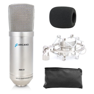 Microfone condensador XLR Arcano AM-01 p/ estúdio