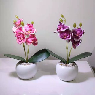 kit com dois (mini )vaso com orquídea artificiais altura 15cm!!! (4)