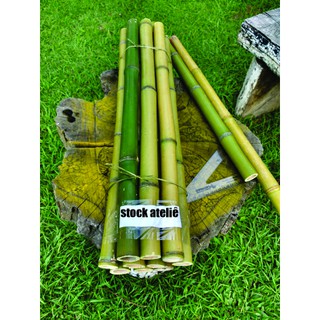 Vara De Bambu Verde Kit Com 10 Unidades COMPRIMENTO 60CM, DIÂMETRO APROXIMADO ENTRE 1,5CM E 02CM (2)