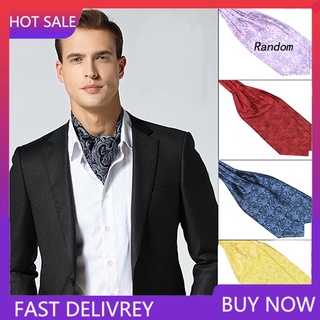 LD_ Men's Classic Colorful Silky Satin Wedding Banquet Necktie Cravat Ascot Tie