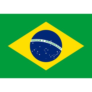 Mini Ímãs de geladeira bandeiras do Brasil