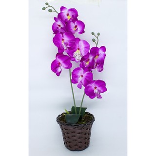 Arranjo Completo Orquídea Artificial + Vaso de Cerâmica Madeira Junco