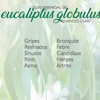 Kit Óleo Essencial De Lavanda + Eucaliptus Globulus Via Aroma (2)
