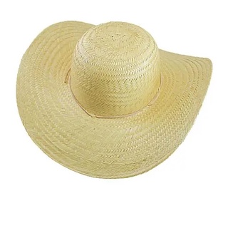 chapéu pantaneiro palha chapeu karanda gaucho Mineiro (8)