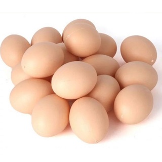 ovos indez plástico para enganar galinhas 12 und.