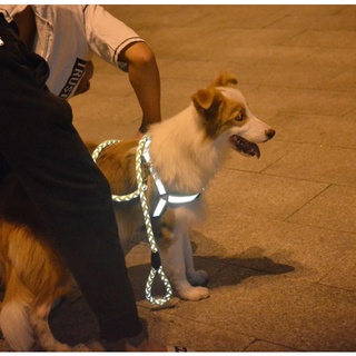 Coleira Peitoral Com Guia Corda Cão Cachorro Com Regulagem Porte Médio Grande Pequeno Reflexivo (2)