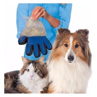 Luva Para Cães Gato cachorro Pet Tira Pelos Nano Magnética Massageador