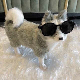 1 Pc Adorável Pet Óculos Cat Dog Produtos Gatinho Brinquedo Do Cão De Sol Fotos Accessoires Rodada Colorido Plástico (4)