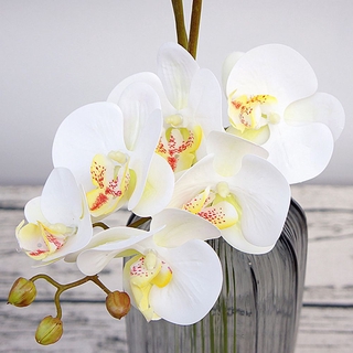 Bluevelvet1 Real Toque Fontes Do Casamento Decoração De Festa Casa Diy Elegante Borboleta Orquídea Flores Artificiais (9)