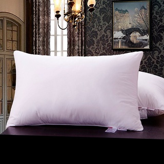 Travesseiro Micro Cotton Camesa Suporte Firme Hotel (2)