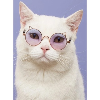Óculos de Sol Orelha Pontudinha para Gatos e Cachorros Pequenos | Ronrom Pet (3)