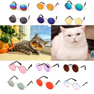 Óculos Pet para Gato e Cachorro Acessório vestimento (3)