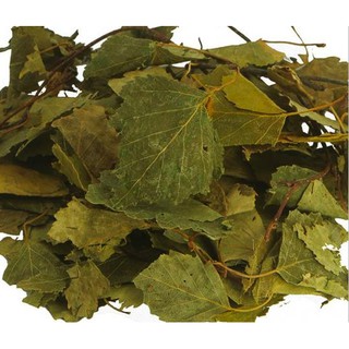 Chá de Betula 100 gramas folhas secas