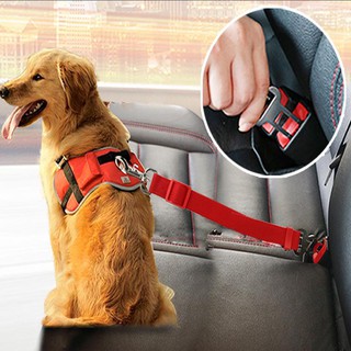 Cinto De Segurança Pra Cachorro Regulagem Seguro Não Machuca Tem função de guia também