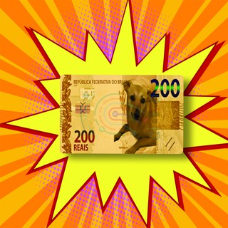 Pelicula Para Cartão Credito Debito Nota 200 Cachorrinho Caramelo