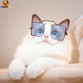 Óculos de Sol para Pets Pequenos/Cães e Gatos/Proteção Universal para os Olhos/para Fotos (5)